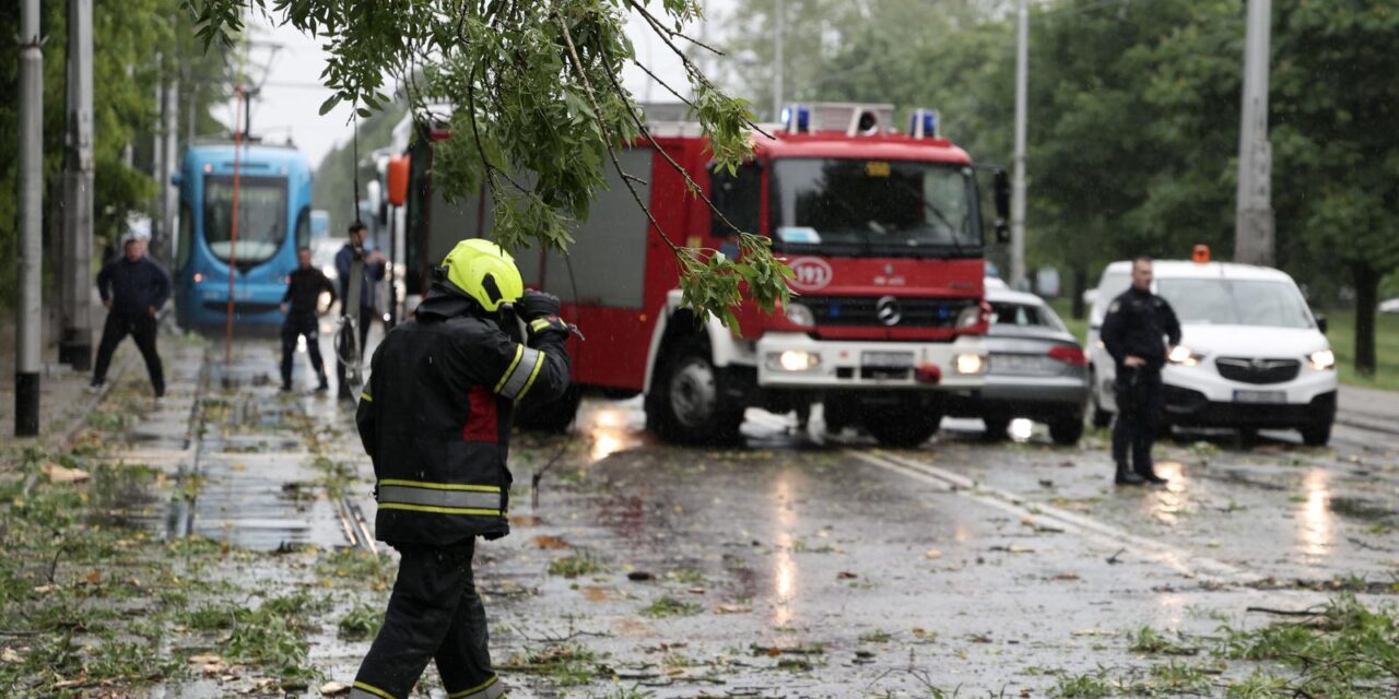 Zagreb: Palo stablo na Maksimirskoj, blokiran promet, vatrogasci na terenu