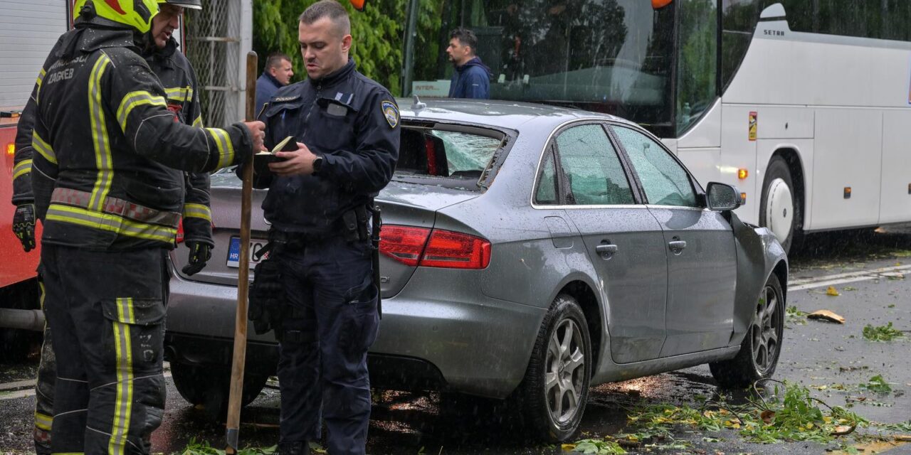 Zagreb: Palo stablo na Maksimirskoj, blokiran promet, vatrogasci na terenu