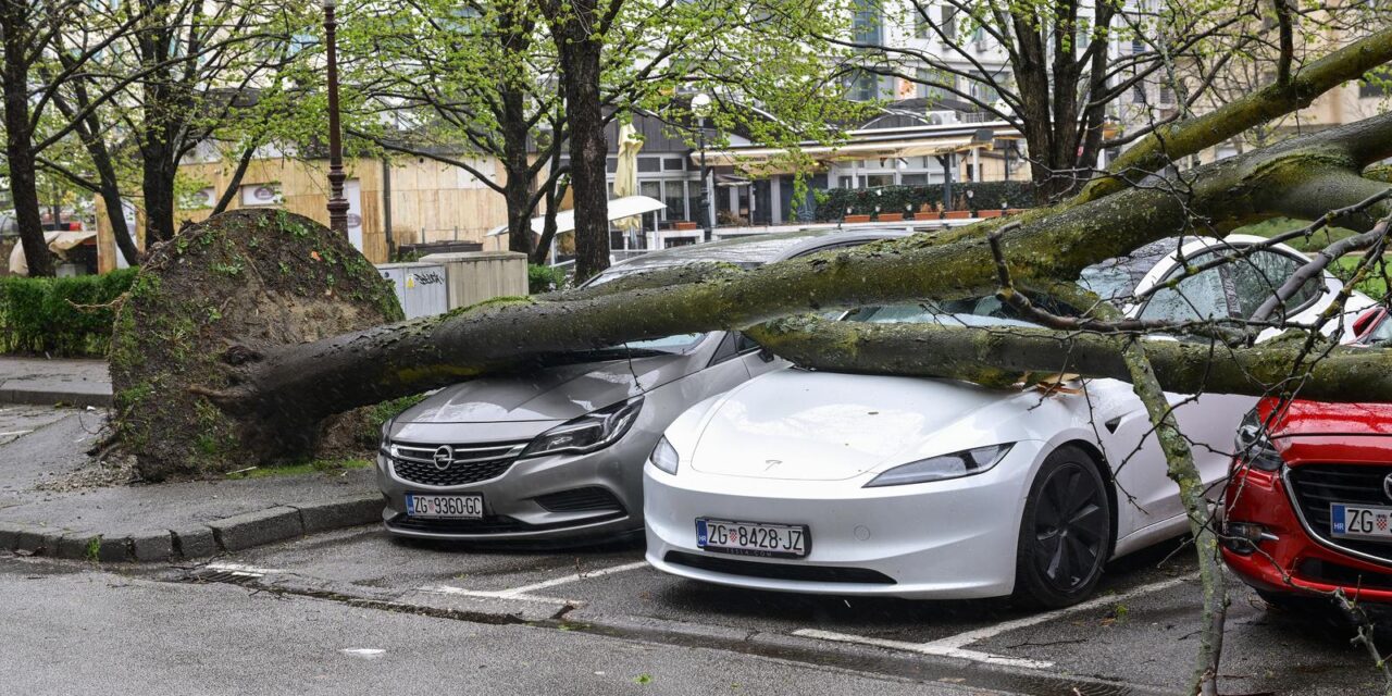 Zagreb: Olujni vjetar iščupao stablo u Ulici Bartola Kašića koje je palo na parkirane automobile