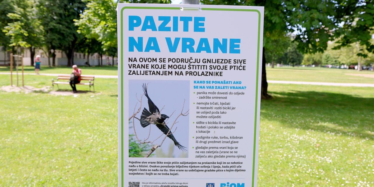 Zagreb: Upute za ponašanje u slučaju napada vrana u zagrebačkim parkovima