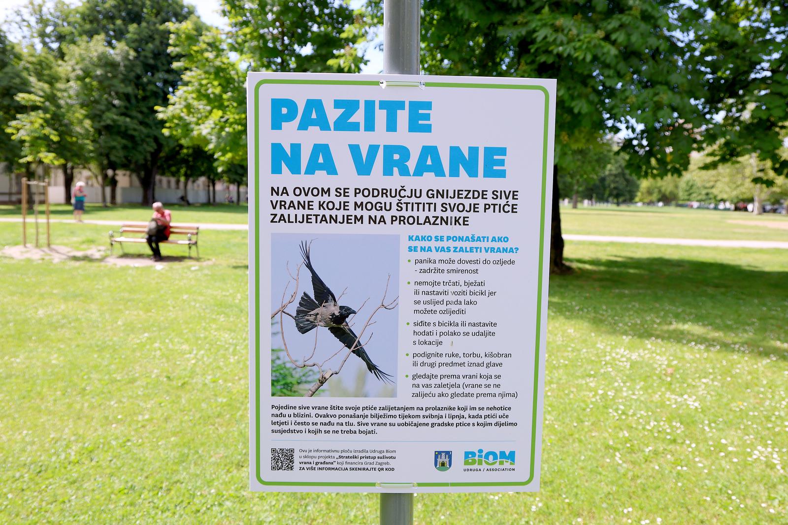 Zagreb: Upute za ponašanje u slučaju napada vrana u zagrebačkim parkovima