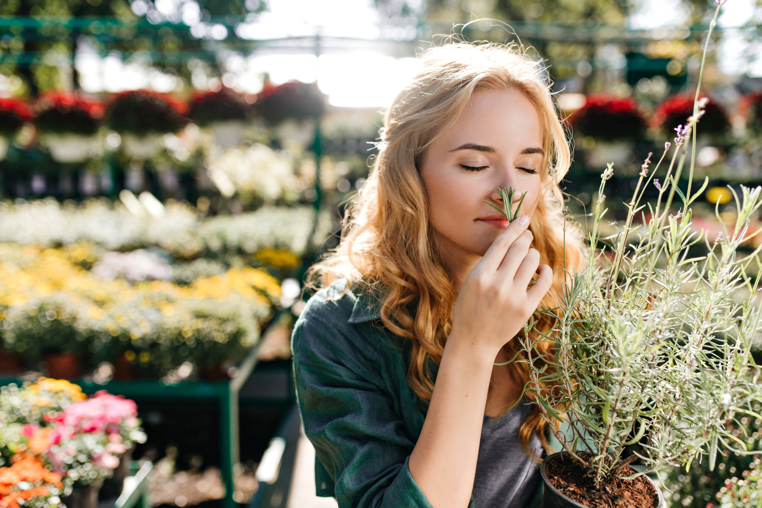 close-up portrait of plant lover admiring smell of lavender. Model in dark cotton clothes posing in botanical garden.