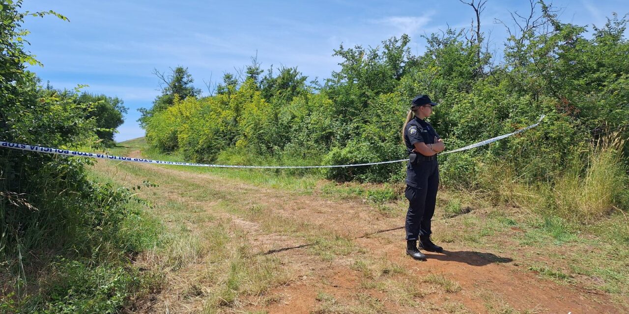 U padu zrakoplova kod Medulina nekoliko osoba je poginulo