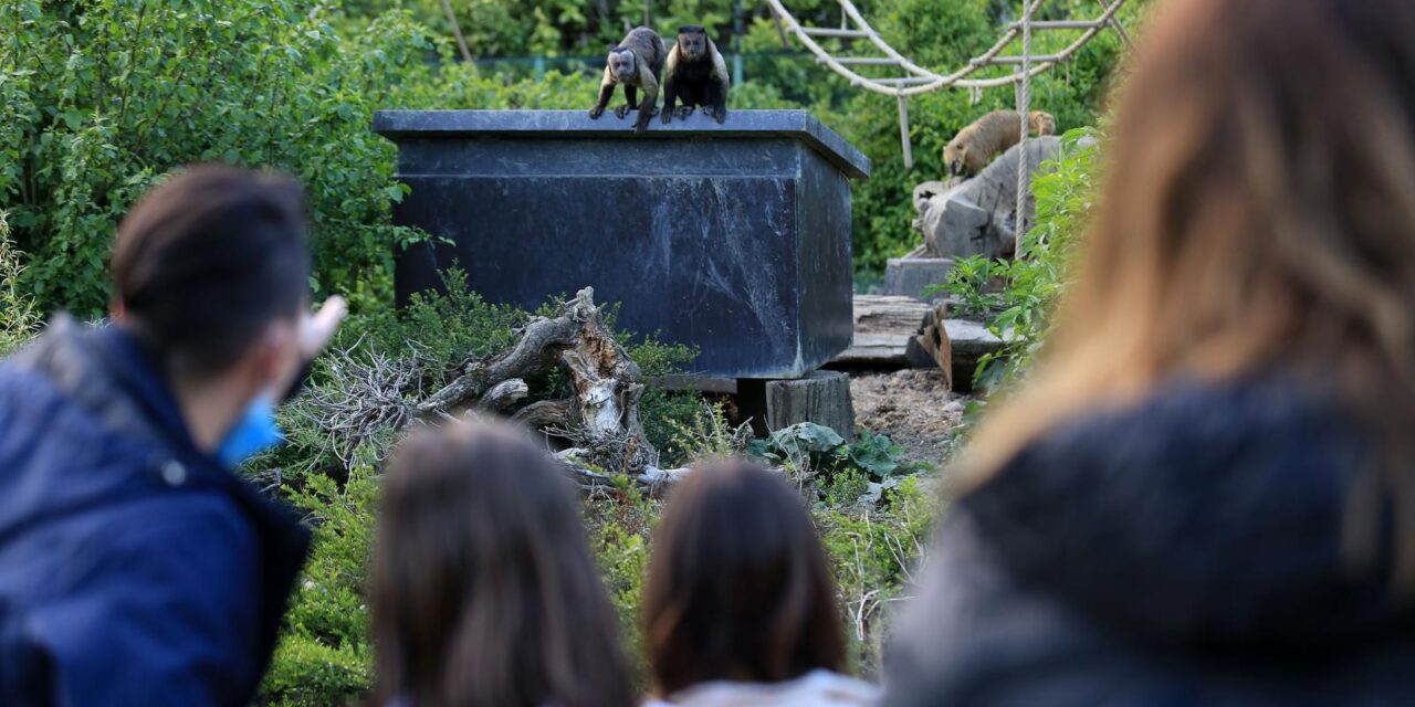 U Zoološkom vrtu održava se Noćni safari, upoznavanje s noćnim životom životinja