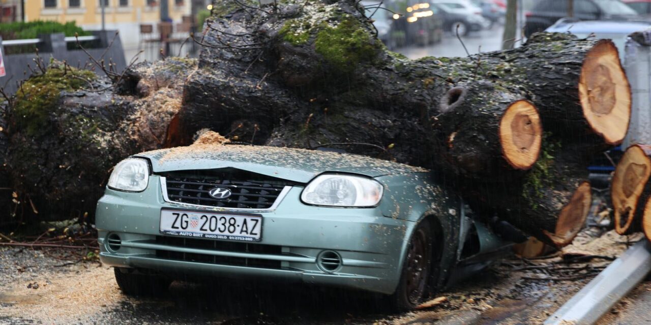 Zagreb: Nevrijeme srušilo stablo koje  je palo na automobil