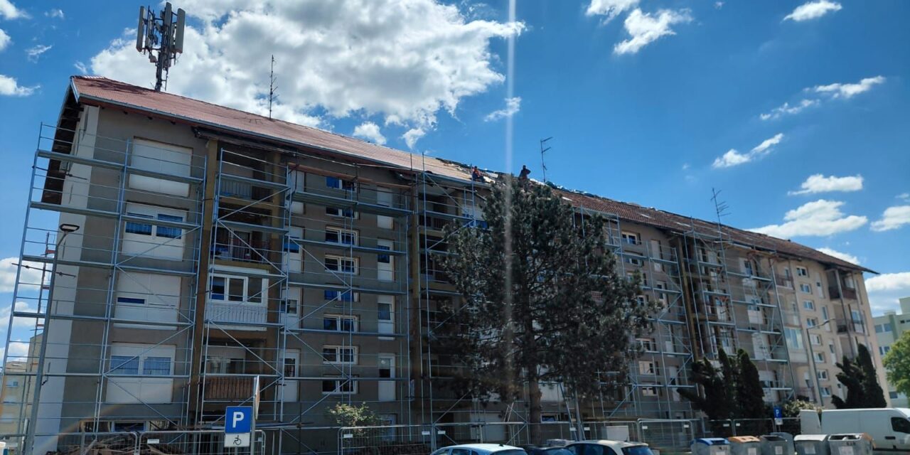 Skela
