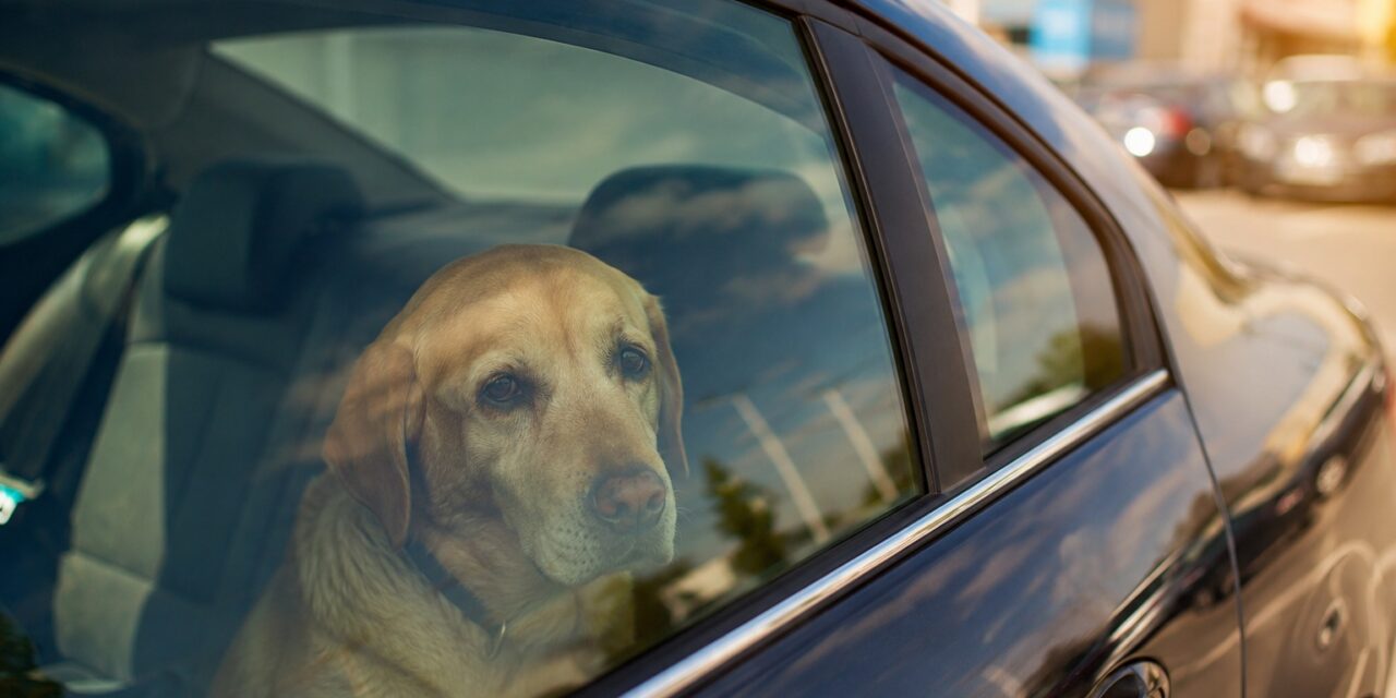 pas auto