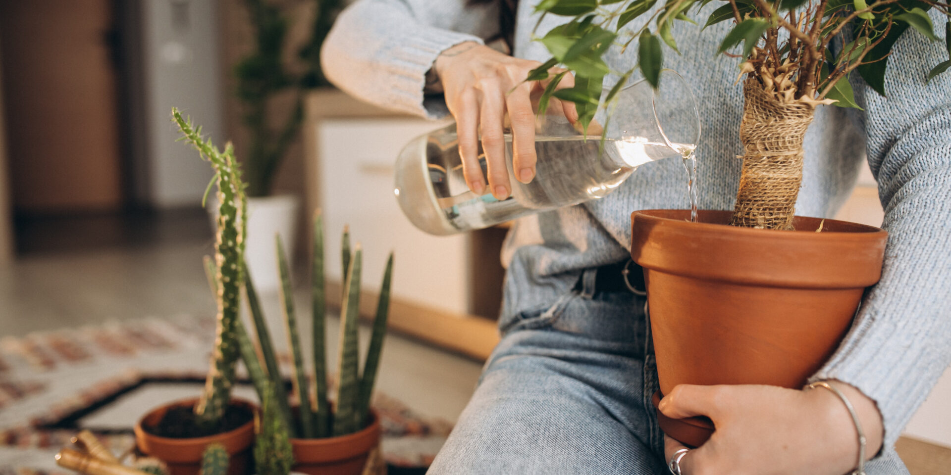 Young woman cultivating plants at home