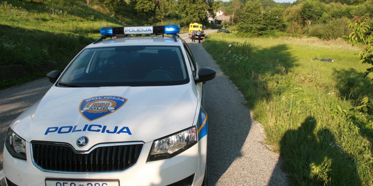 Voji�nica: U prometnoj nesre?i poginuo motociklist