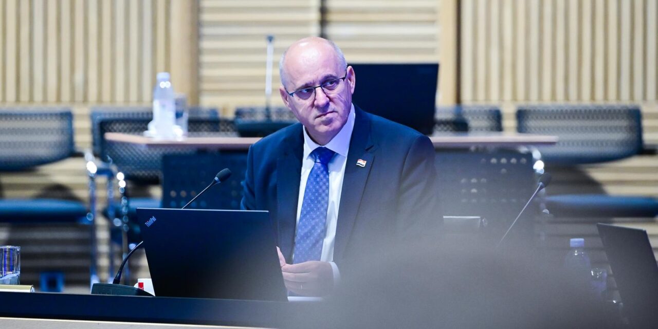 branko bačić