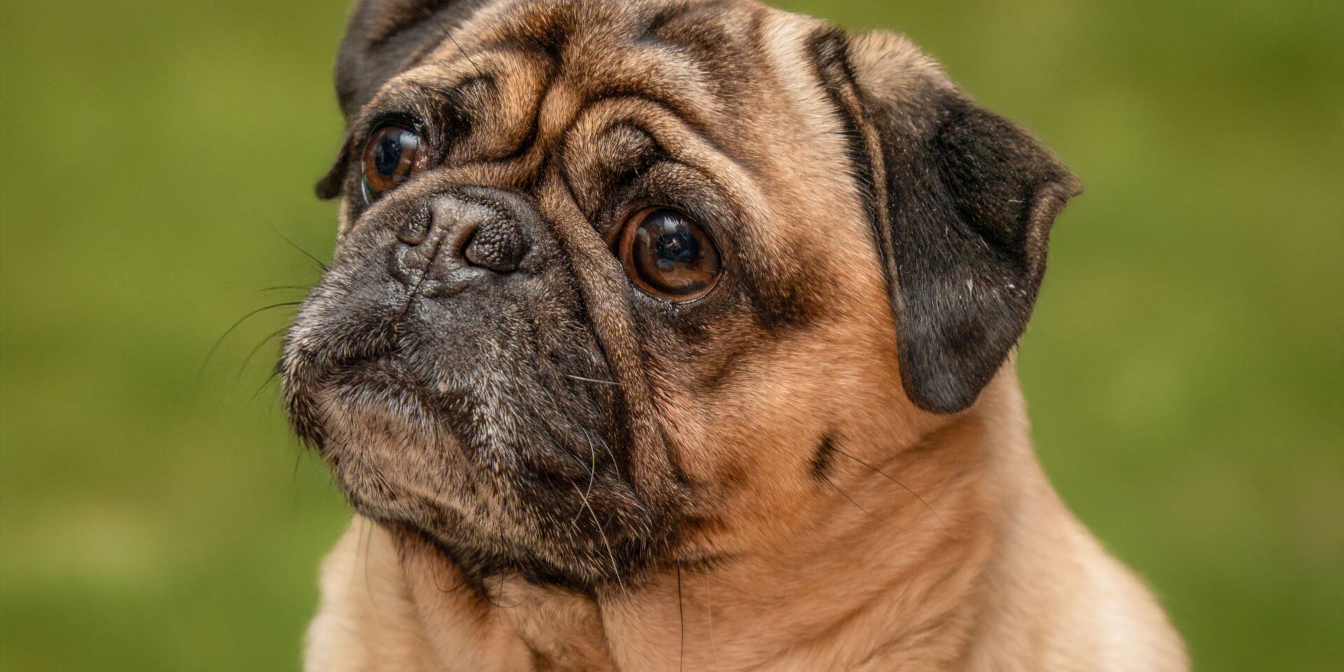 pexels-guvo59-29684351