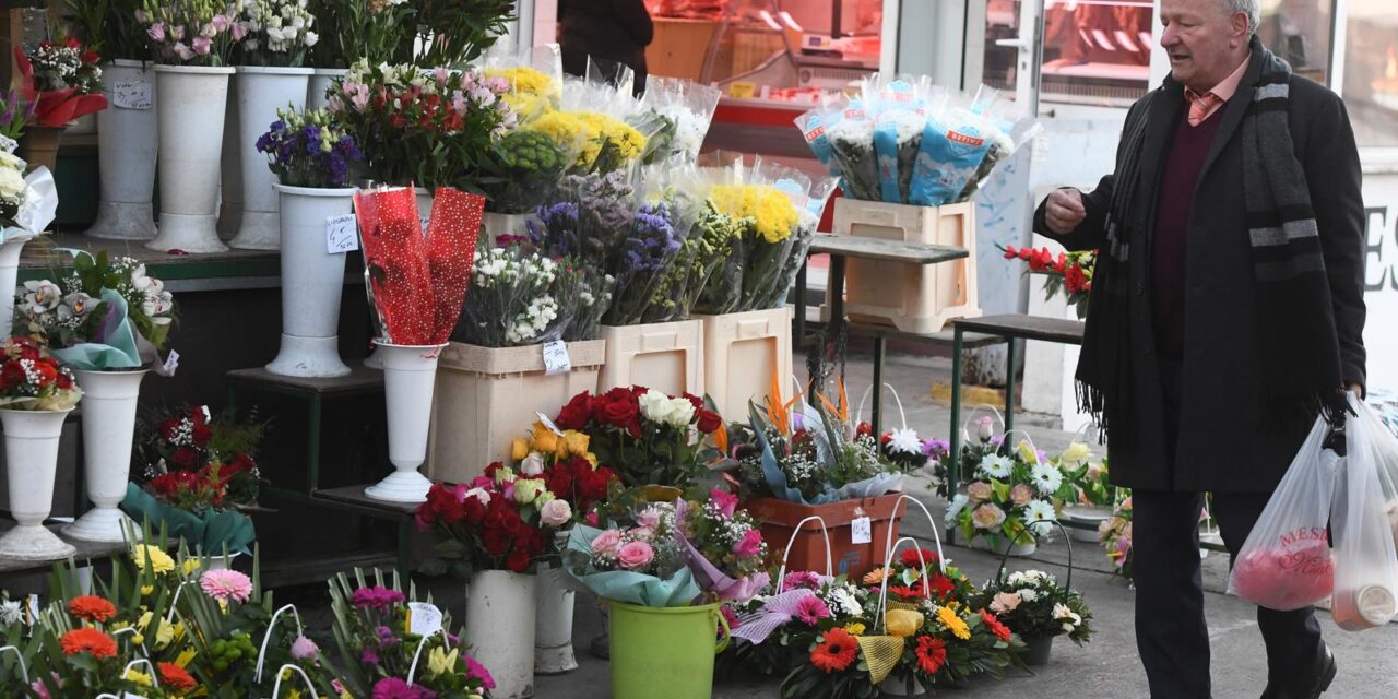 �ibenik: Cvje?ari spremni do?ekuju sutra�nji Dan zaljubljenih