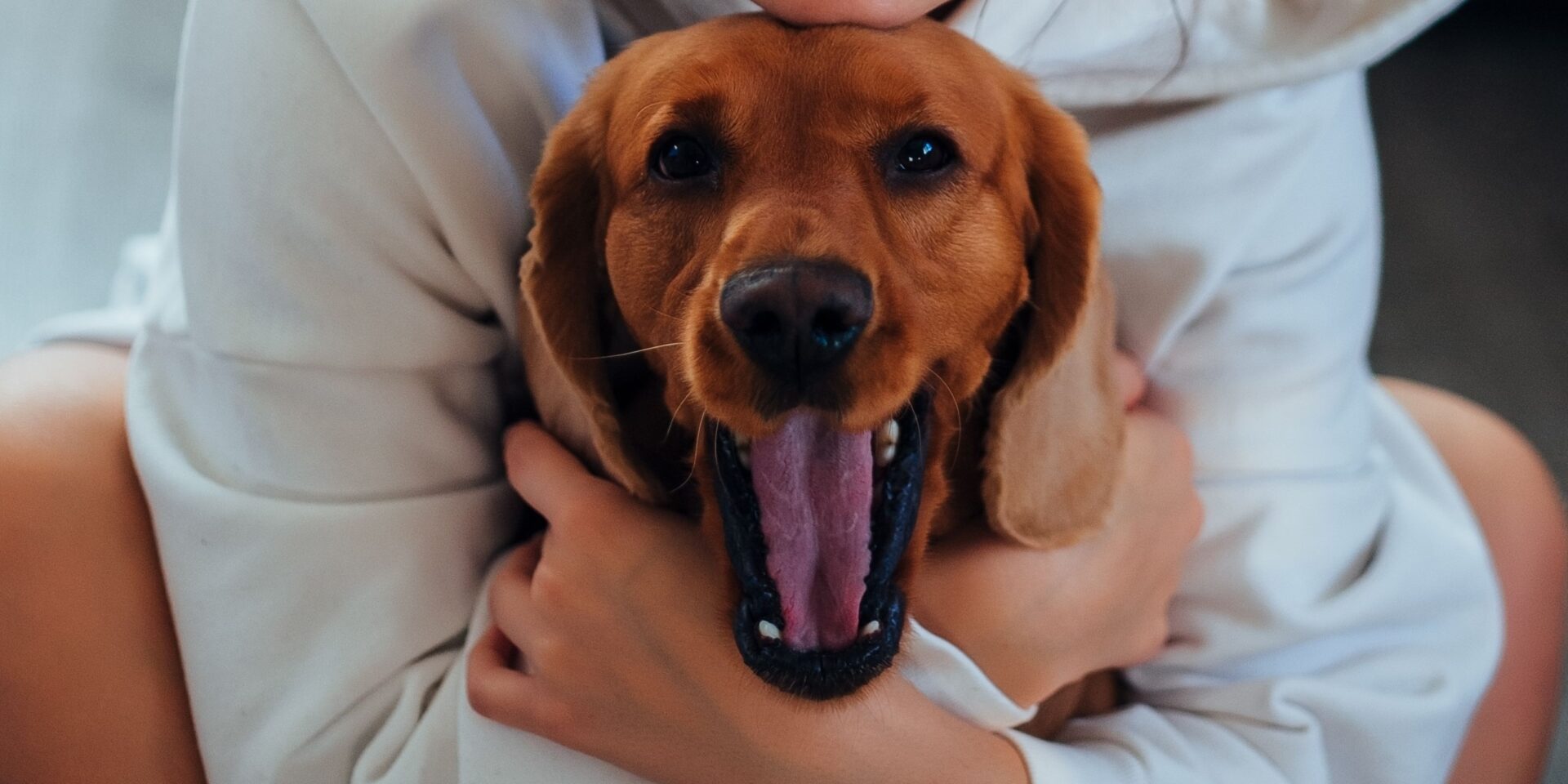 pexels-babydov-7788661