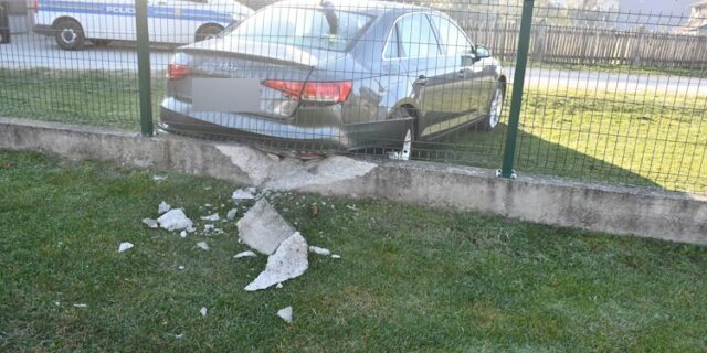 slika 2-1